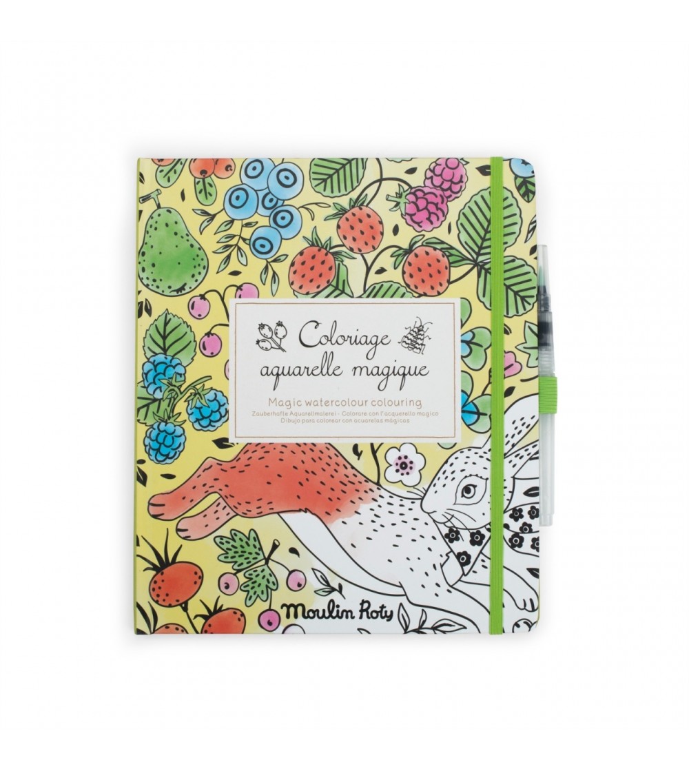 Carte de colorat reutilizabila, Moulin Roty - Set papetarie si jurnale copii